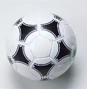 乐鱼体育,资讯,乐鱼体育官方,乐鱼体育官方,乐鱼体育在线官网,乐鱼体育线上,乐鱼体育APP