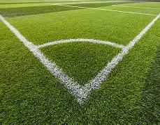 乐鱼体育,资讯,乐鱼体育官方,乐鱼体育官方,乐鱼体育在线官网,乐鱼体育线上,乐鱼体育APP