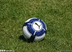 乐鱼体育,产品,乐鱼体育官方,乐鱼体育官方,乐鱼体育在线官网,乐鱼体育线上,乐鱼体育APP