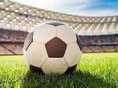 孩子吃水饺,误吞针头痛,哭不止,乐鱼体育官方,乐鱼体育在线官网,乐鱼体育线上,乐鱼体育APP