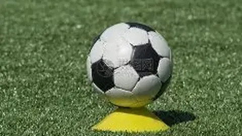 乐鱼体育 产品 095403 fwc