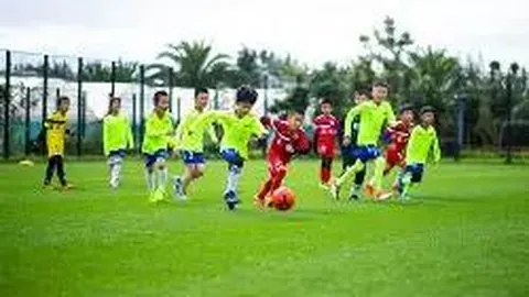 乐鱼体育 资讯 110853 v63