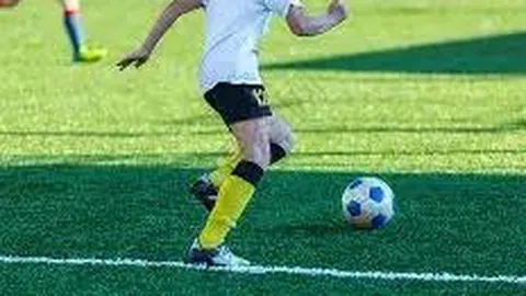 乐鱼体育 产品 111159 rr3