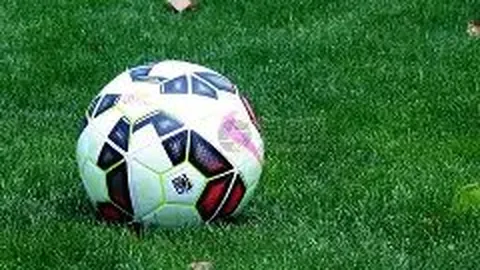 何猷君：星竞威武集团董事长出席商务交流与活动，接受嘉宾咨询