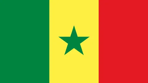 乐鱼体育 资讯 093708 yxc